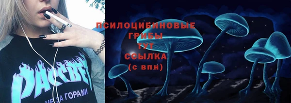 2c-b Алексеевка