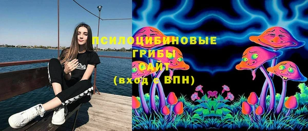 ГАЛЛЮЦИНОГЕННЫЕ ГРИБЫ Алексин