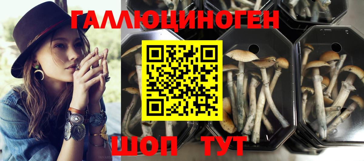 Псилоцибиновые грибы мицелий Урай